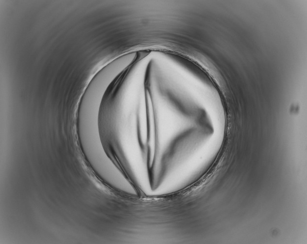 X0000096420858200802211122