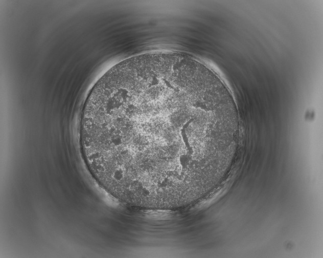 X0000096420859200802211122