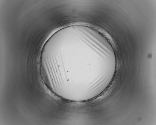 X0000096420860200802211122