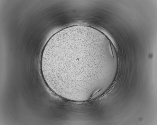 X0000096420861200802211122