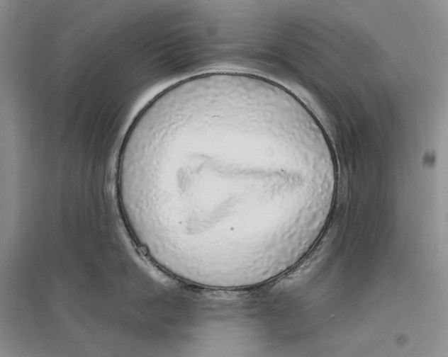 X0000096420862200802211122