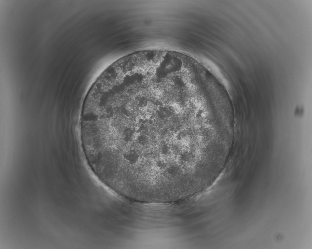 X0000096420863200802211122