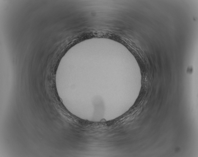 X0000096420865200802211121