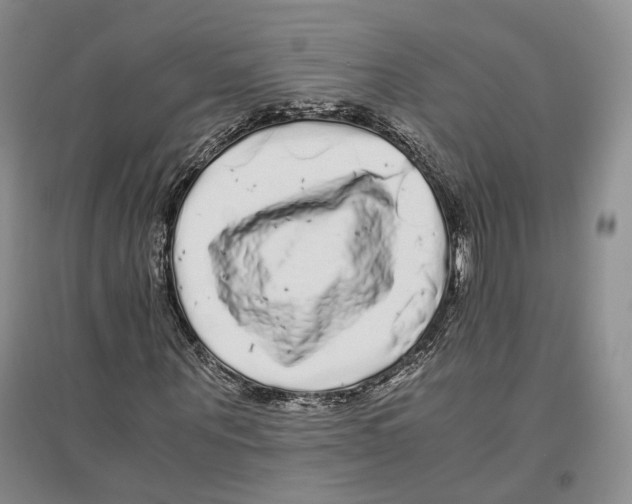 X0000096420867200802211121