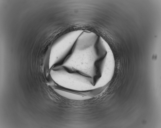 X0000096420868200802211121