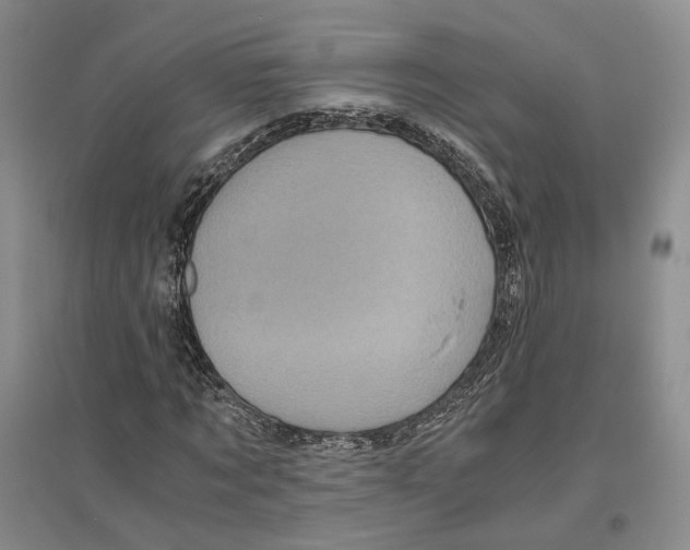 X0000096420869200802211121