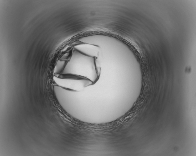 X0000096420872200802211121