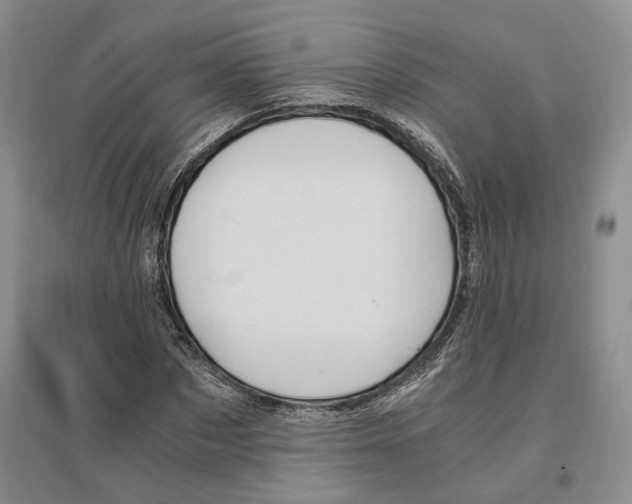 X0000096420873200802211121