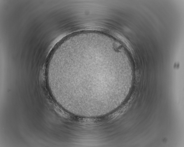 X0000096420875200802211121