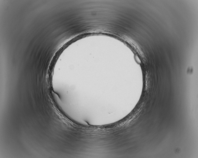 X0000096420876200802211121