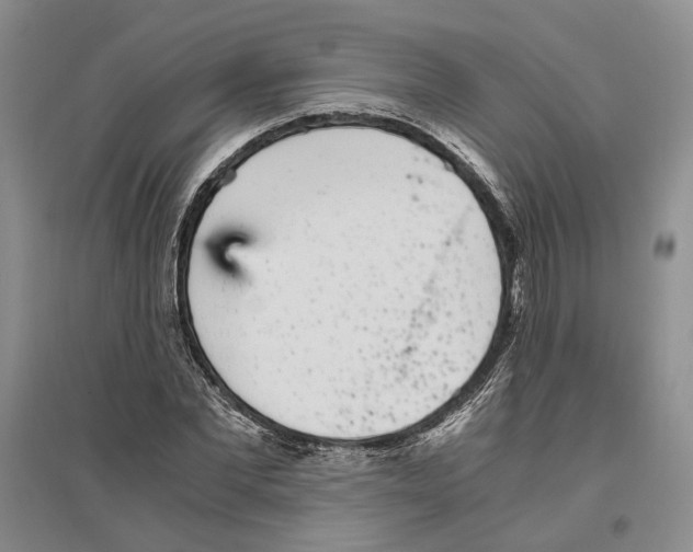 X0000096420877200802211121