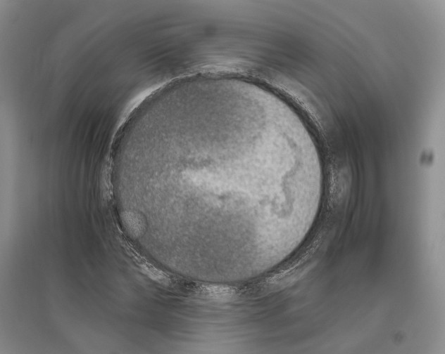 X0000096420878200802211121