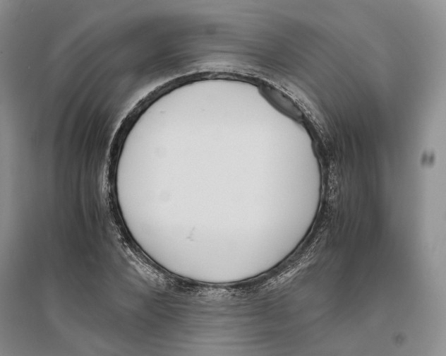 X0000096420880200802211121