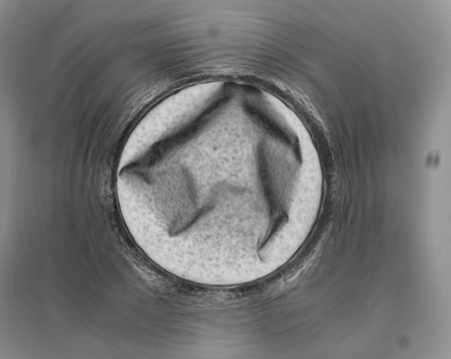 X0000096420881200802211121