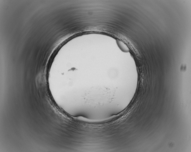 X0000096420884200802211121