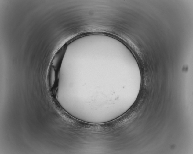 X0000096420885200802211121