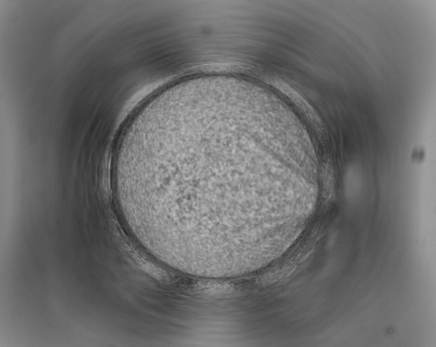 X0000096420886200802211121