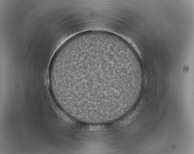 X0000096420887200802211121