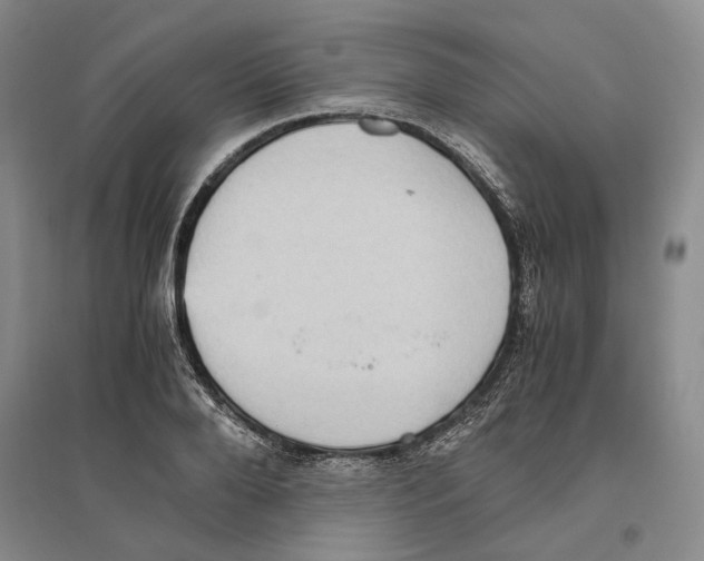 X0000096420888200802211121
