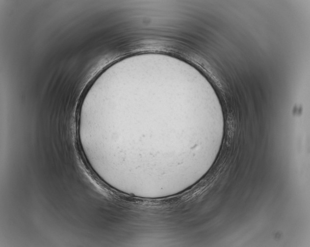 X0000096420890200802211121
