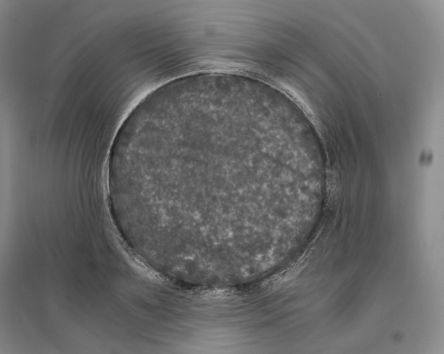 X0000096420891200802211121