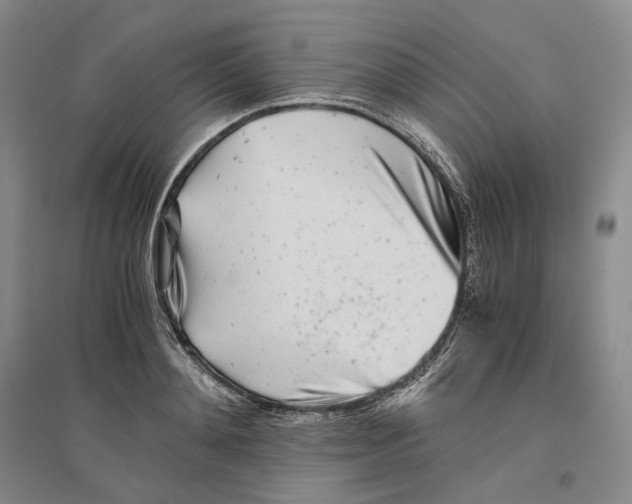 X0000096420892200802211121