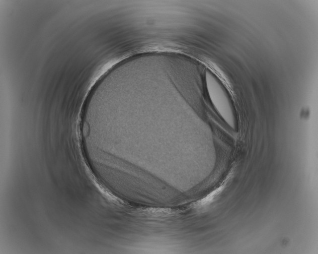 X0000096420893200802211121
