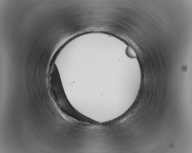 X0000096420894200802211121