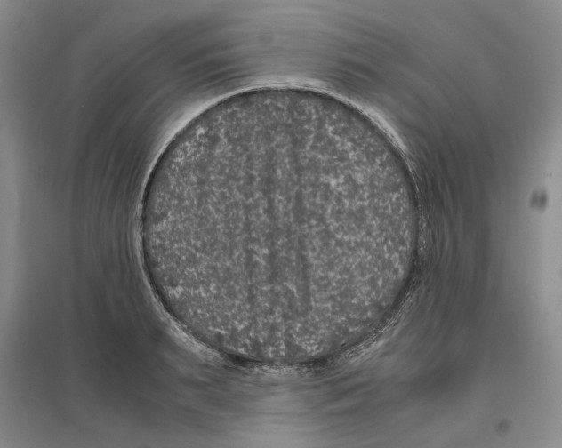 X0000096420895200802211121