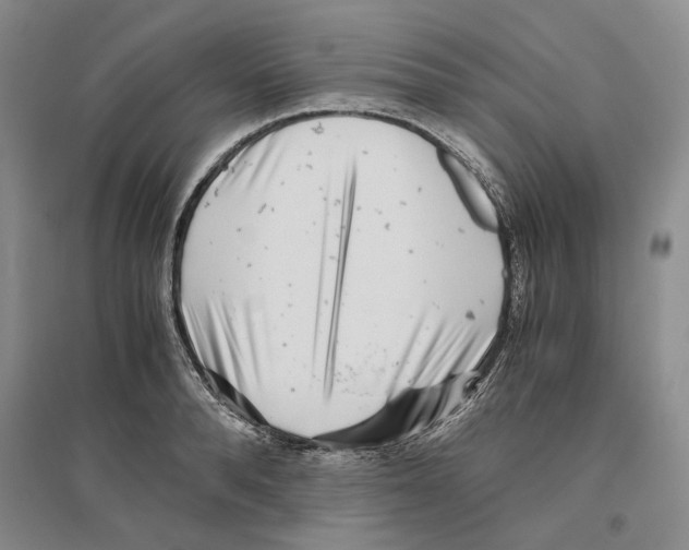 X0000096420896200802211121