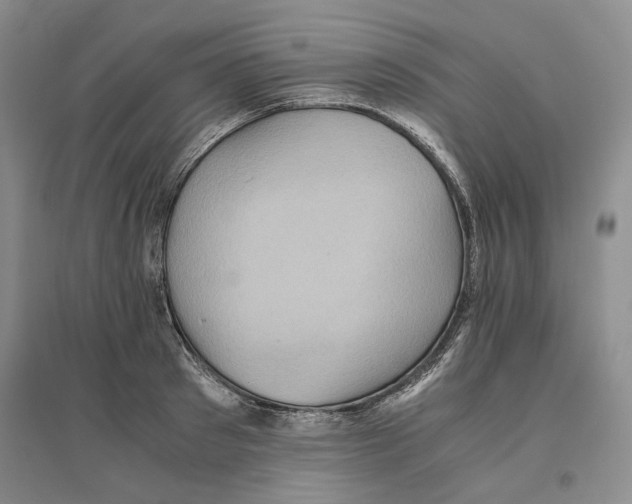X0000096420897200802211121