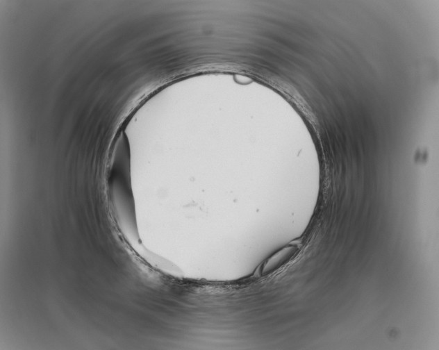 X0000096420898200802211121