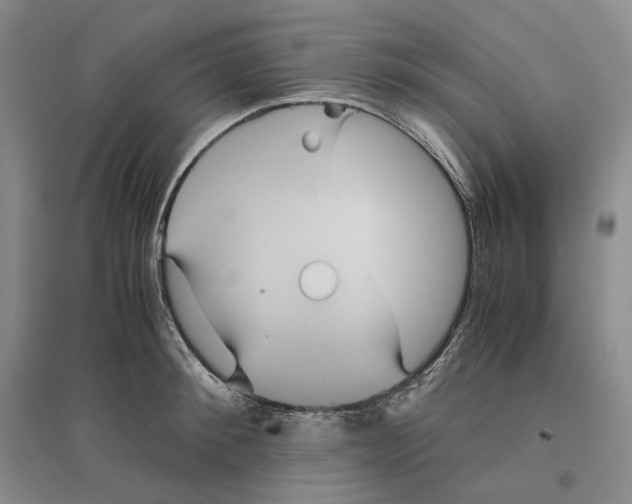 X0000096420900200802211121