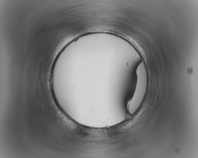 X0000096420901200802211121