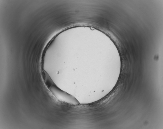 X0000096420902200802211121