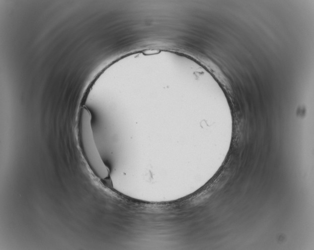 X0000096420904200802211121