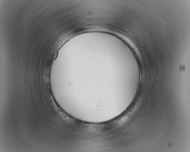 X0000096420905200802211121