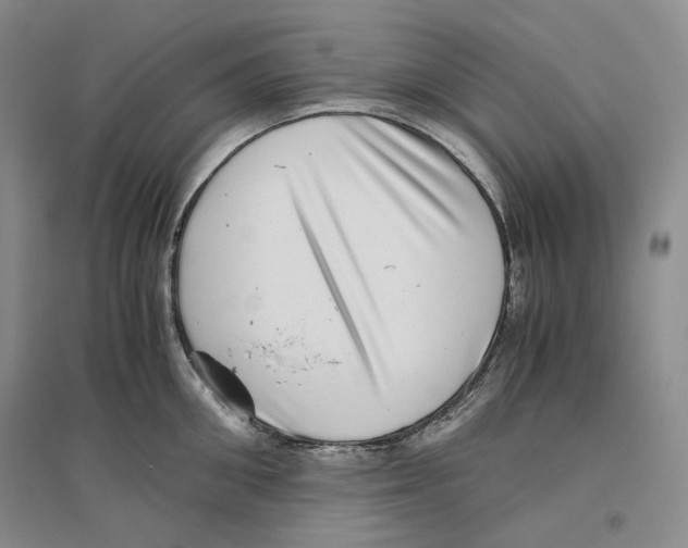 X0000096420906200802211121