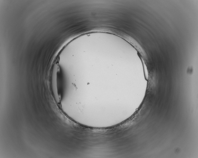X0000096420908200802211121