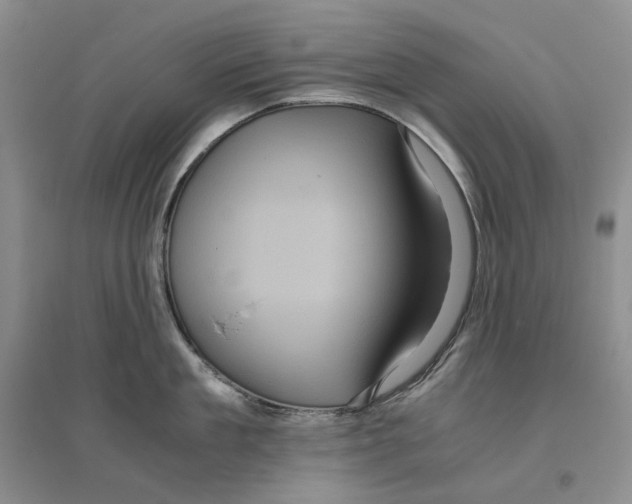 X0000096420909200802211121