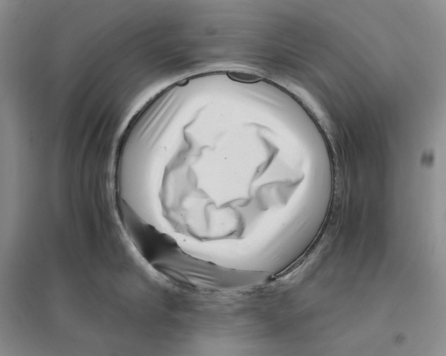 X0000096420910200802211121