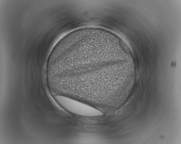 X0000096420911200802211121