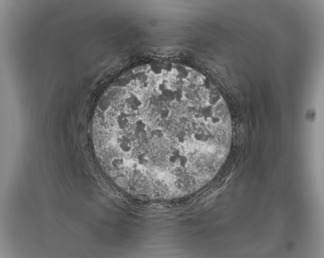 X0000096420913200802211120
