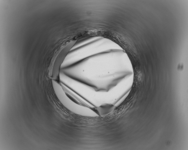 X0000096420914200802211120