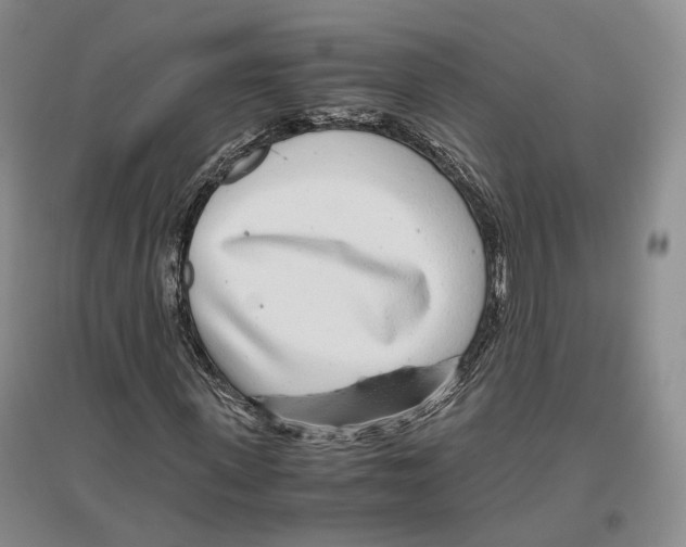 X0000096420915200802211120