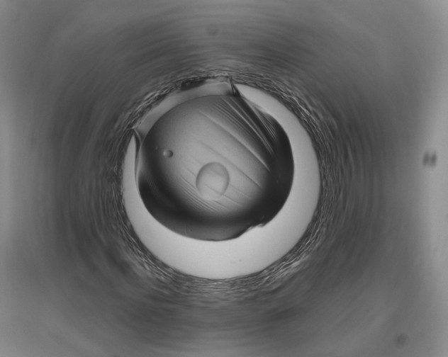 X0000096420916200802211120