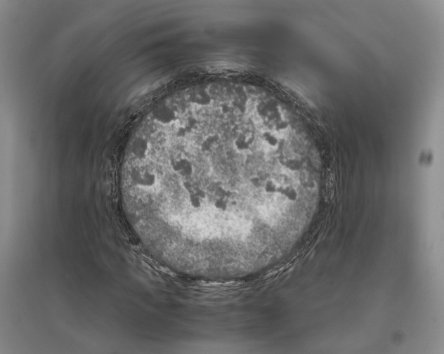 X0000096420917200802211120