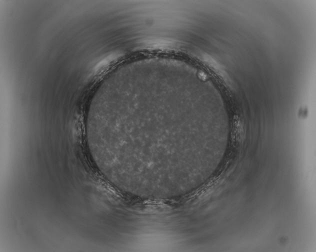X0000096420918200802211120