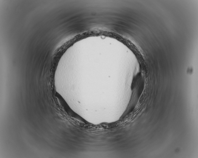X0000096420919200802211120