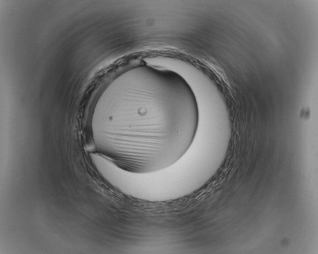 X0000096420920200802211120